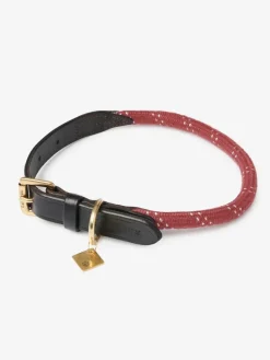 Lemieux Ascot Rope Dog Collar