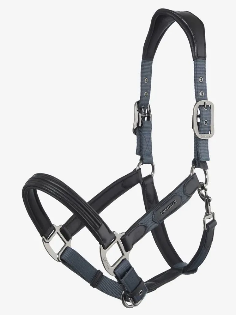LeMieux Capella Headcollar AW24