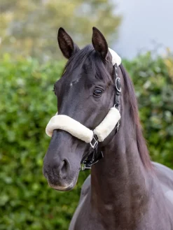 LeMieux Comfort Headcollar