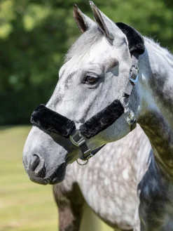 LeMieux Comfort Headcollar