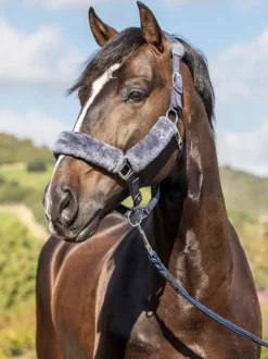 LeMieux Comfort Headcollar