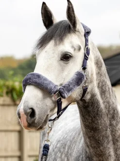 LeMieux Comfort Headcollar