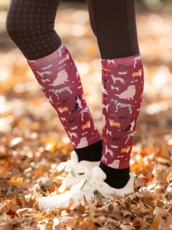 LeMieux Footsie Dog Socks