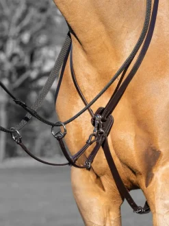 LeMieux Kudos Running Martingale