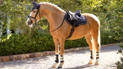 LeMieux Loire Classic Close Contact Square SS25