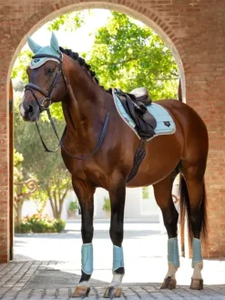 LeMieux Loire Classic Close Contact Square SS25