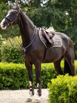 LeMieux Loire Classic Close Contact Square SS24