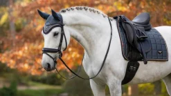 LeMieux Loire Classic Dressage Square AW24