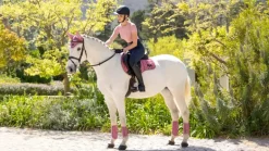 LeMieux Loire Classic GP Square SS25