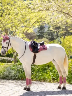 LeMieux Loire Classic GP Square SS25