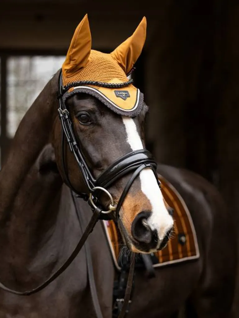 LeMieux Loire Fly Hood AW24