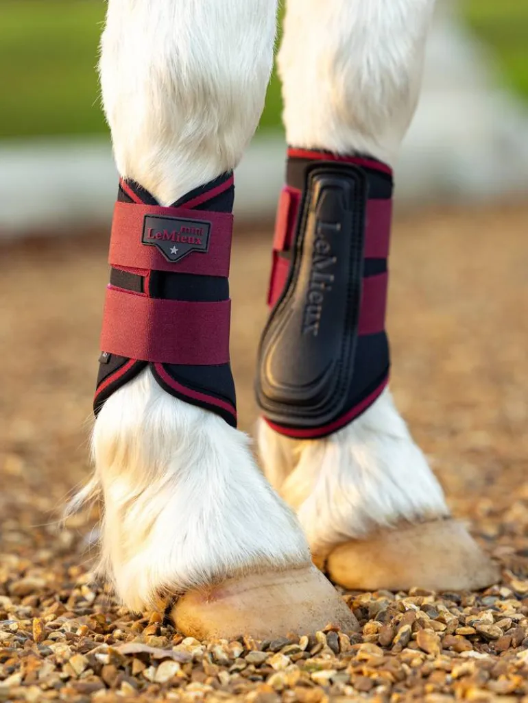 LeMieux Mini Brushing Boots AW24