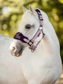 LeMieux Mini Vogue Fleece Headcollar and Rope