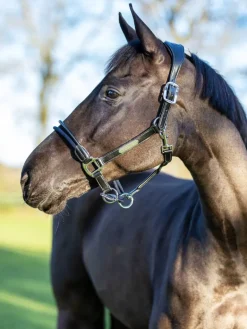 LeMieux Rope Control Headcollar