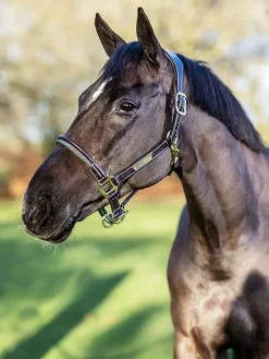 LeMieux Rope Control Headcollar