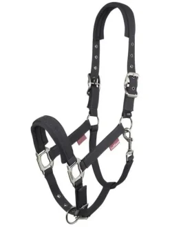 LeMieux Soft Shell Headcollar AW24