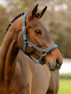 LeMieux Soft Shell Headcollar AW24
