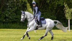 LeMieux Suede Close Contact Square SS24