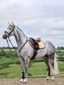 LeMieux Suede Close Contact Square SS25