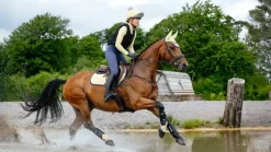 LeMieux Suede Close Contact Square SS25