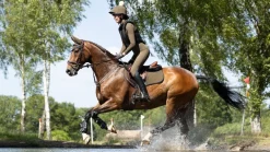 LeMieux Suede Close Contact Square AW24