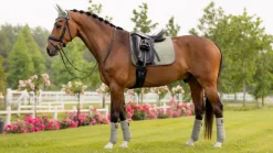 LeMieux Suede Dressage Square SS24