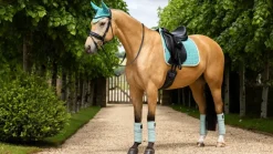 LeMieux Suede Dressage Square SS25