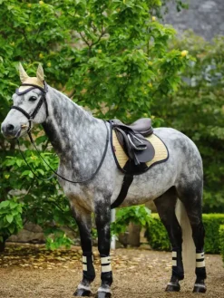 LeMieux Suede GP Square SS25