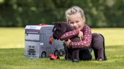 LeMieux Toy Pony Freya