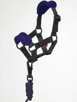 LeMieux Toy Pony Headcollar
