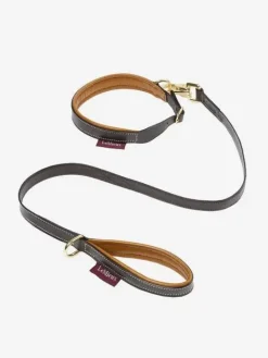 LeMieux Toy Puppy Collar & Lead AW24