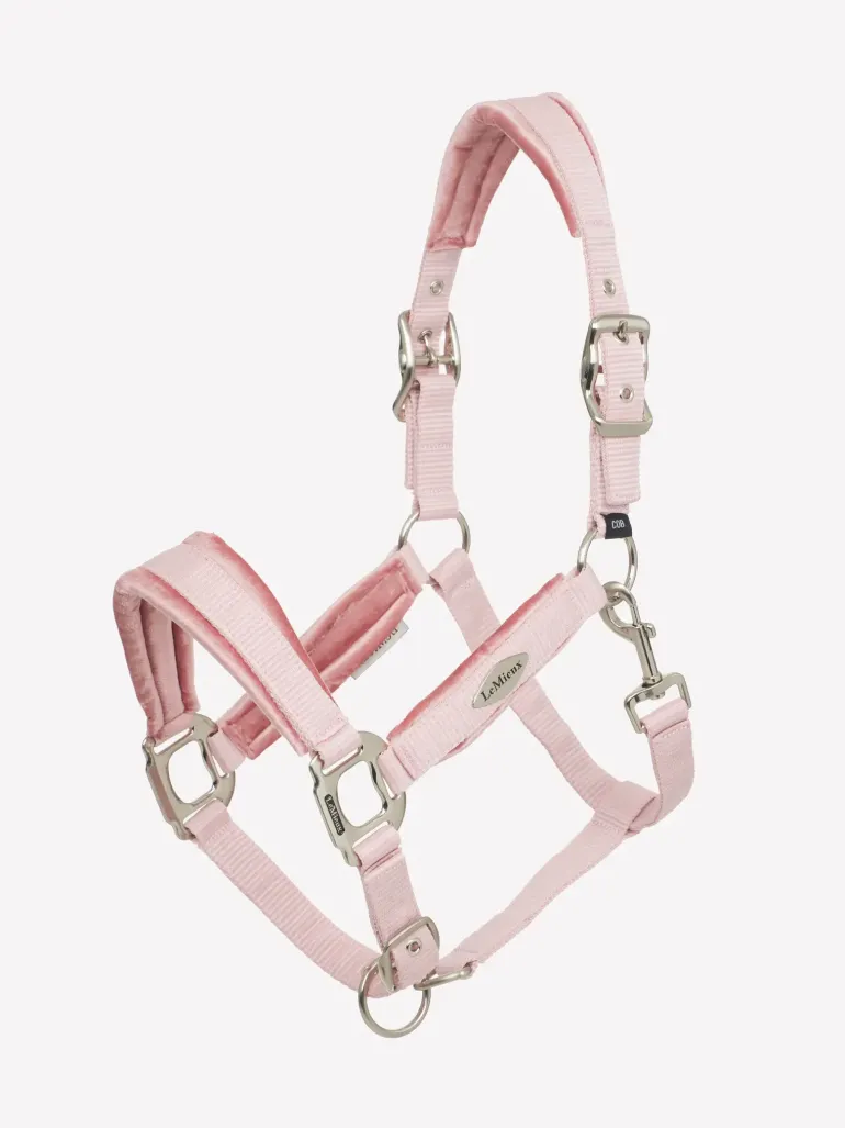 LeMieux Versailles Headcollar & Leadrope SS25