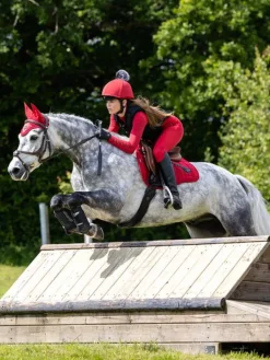 LeMieux Victoire Young Rider Pull On Breech