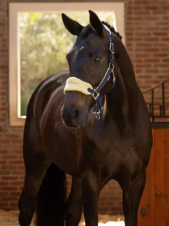 LeMieux Vogue Headcollar & Leadrope SS25