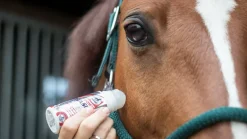 Leovet Power Phaser Roll On 75ml