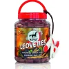 LeoVeties - Winter Elderberry Treats - Limitied Edition