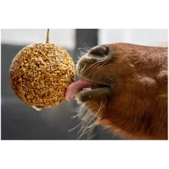 Likit Granola Stall Ball