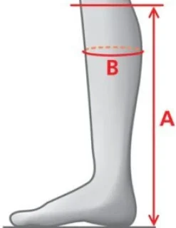 Mountain Horse Sovereign High Rider Boots Brown II