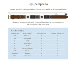 Pampeano Leather Dog Collar Hermoso