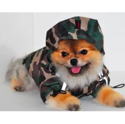 Pet London Base Raincoat