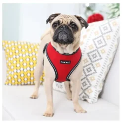 Pet London Trek Harness A