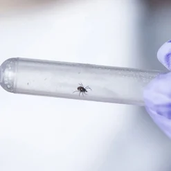 Pyramid Lyme Disease Test Kit