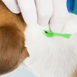 Pyramid Lyme Disease Test Kit