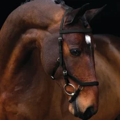 Rambo Micklem Competition Bridle