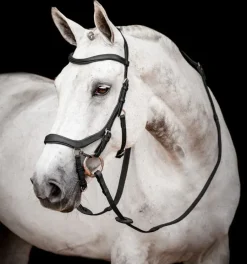 Rambo Micklem Competition Bridle