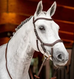 Rambo Micklem Competition Bridle