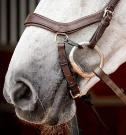 Rambo Micklem Competition Bridle
