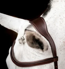 Rambo Micklem Competition Bridle