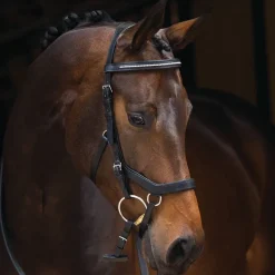 Rambo Micklem Competition Bridle