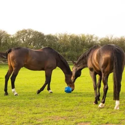 Red Gorilla Dripfeed Treat Ball
